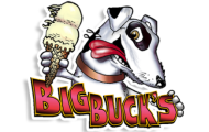 Image for BIG BUCK’S ICE CREAM